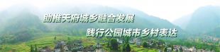 豪运国际墟落生长集团